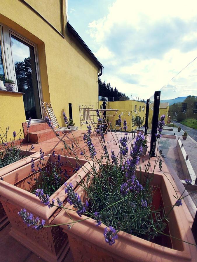 The Meetinka Apartments Jesenik Luaran gambar